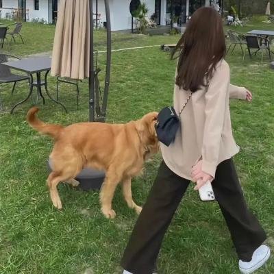 星河入梦剧照